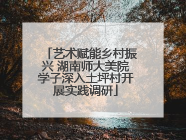 艺术赋能乡村振兴 湖南师大美院学子深入土坪村开展实践调研