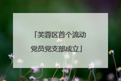 芙蓉区首个流动党员党支部成立