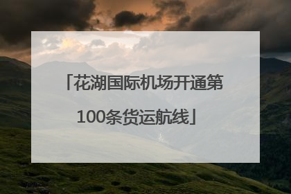 花湖国际机场开通第100条货运航线