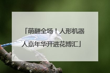 萌翻全场！人形机器人嘉年华开进花博汇