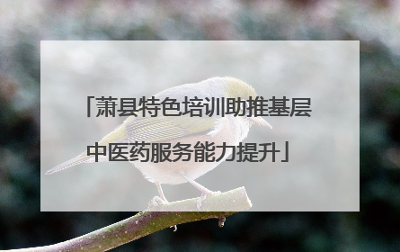 萧县特色培训助推基层中医药服务能力提升