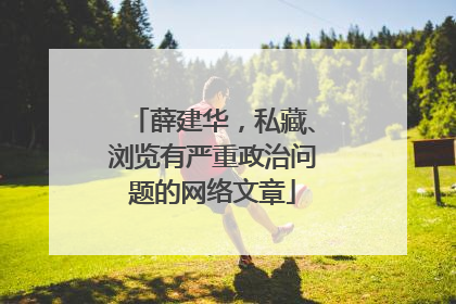 薛建华，私藏、浏览有严重政治问题的网络文章