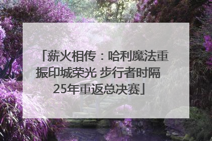 薪火相传：哈利魔法重振印城荣光 步行者时隔25年重返总决赛