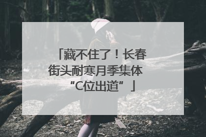 藏不住了！长春街头耐寒月季集体“C位出道”