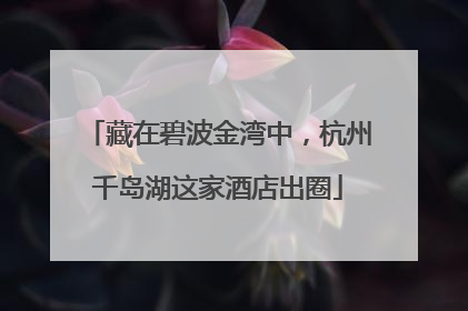 藏在碧波金湾中，杭州千岛湖这家酒店出圈