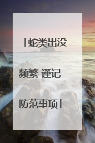 蛇类出没频繁 谨记防范事项