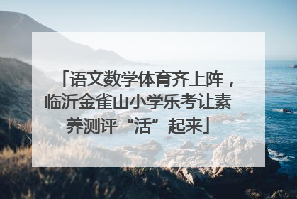 语文数学体育齐上阵，临沂金雀山小学乐考让素养测评“活”起来