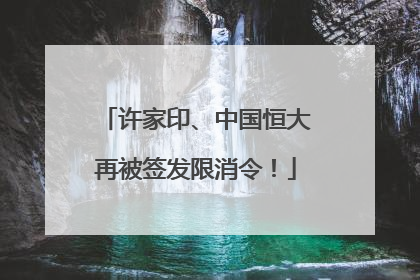 许家印、中国恒大再被签发限消令！