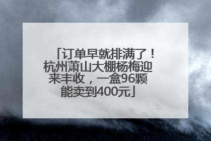 订单早就排满了！杭州萧山大棚杨梅迎来丰收，一盒96颗能卖到400元