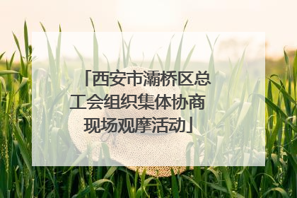 西安市灞桥区总工会组织集体协商现场观摩活动