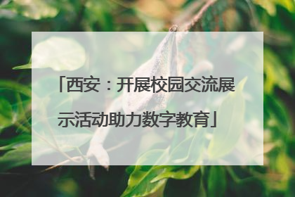 西安：开展校园交流展示活动助力数字教育