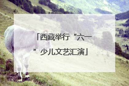 西藏举行“六一”少儿文艺汇演