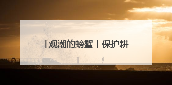 观潮的螃蟹丨保护耕地要打好“文化牌”