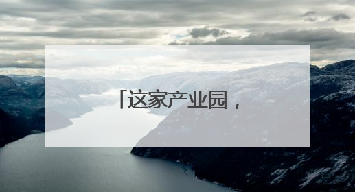 这家产业园，靠什么跻身“国家队”？