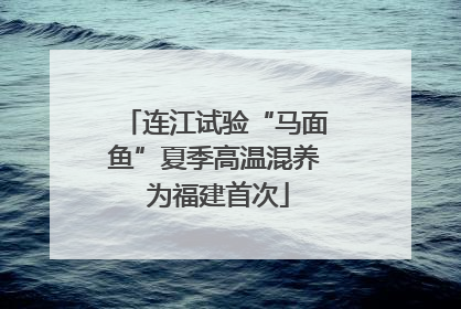 连江试验“马面鱼”夏季高温混养 为福建首次