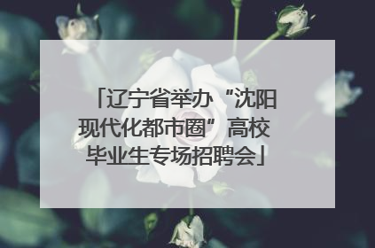 辽宁省举办“沈阳现代化都市圈”高校毕业生专场招聘会
