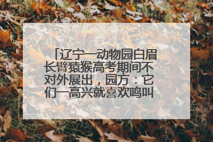 辽宁一动物园白眉长臂猿猴高考期间不对外展出，园方：它们一高兴就喜欢鸣叫，怕影响考试
