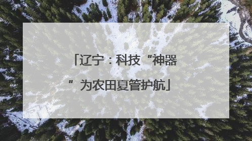 辽宁：科技“神器”为农田夏管护航
