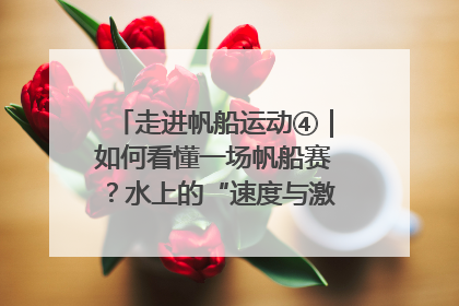 走进帆船运动④｜如何看懂一场帆船赛？水上的“速度与激情”同样精彩