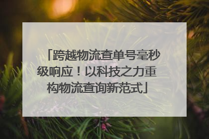 跨越物流查单号毫秒级响应！以科技之力重构物流查询新范式