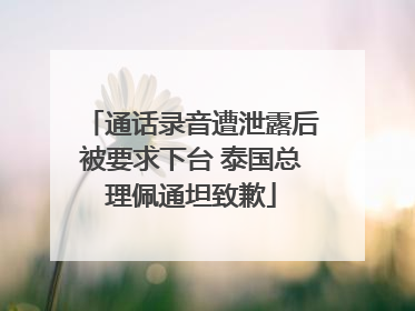 通话录音遭泄露后被要求下台 泰国总理佩通坦致歉