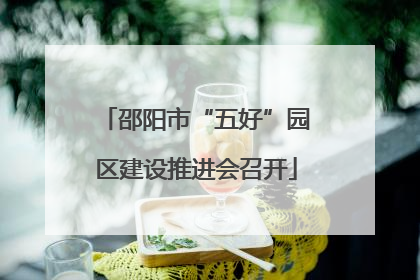 邵阳市“五好”园区建设推进会召开