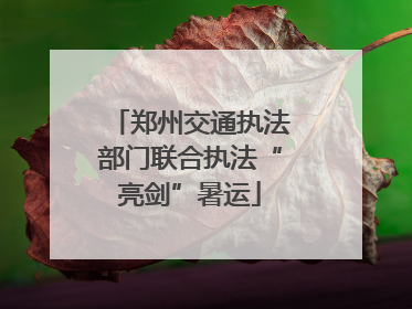 郑州交通执法部门联合执法“亮剑”暑运