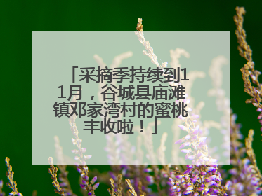 采摘季持续到11月，谷城县庙滩镇邓家湾村的蜜桃丰收啦！