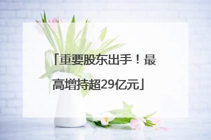 重要股东出手！最高增持超29亿元