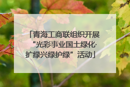 青海工商联组织开展“光彩事业国土绿化·扩绿兴绿护绿”活动