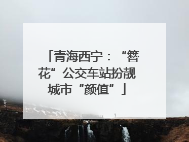 青海西宁：“簪花”公交车站扮靓城市“颜值”