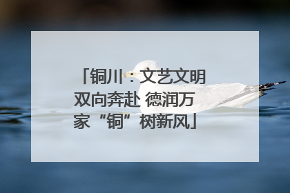 铜川：文艺文明双向奔赴 德润万家“铜”树新风