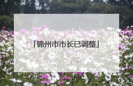 锦州市市长已调整
