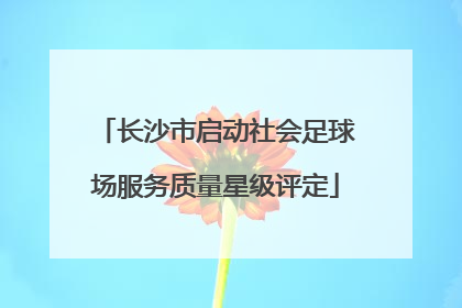 长沙市启动社会足球场服务质量星级评定