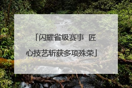 闪耀省级赛事  匠心技艺斩获多项殊荣