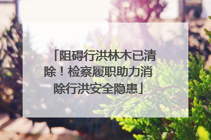 阻碍行洪林木已清除！检察履职助力消除行洪安全隐患