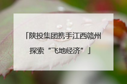 陕投集团携手江西赣州 探索“飞地经济”