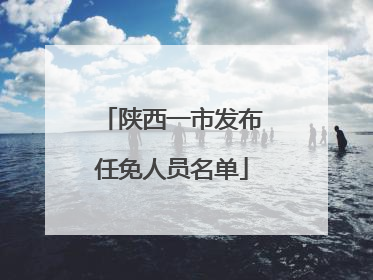 陕西一市发布任免人员名单