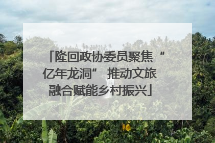 隆回政协委员聚焦“亿年龙洞” 推动文旅融合赋能乡村振兴