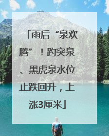 雨后“泉欢腾”！趵突泉、黑虎泉水位止跌回升，上涨3厘米