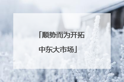顺势而为开拓中东大市场