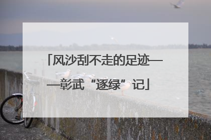 风沙刮不走的足迹——彰武“逐绿”记