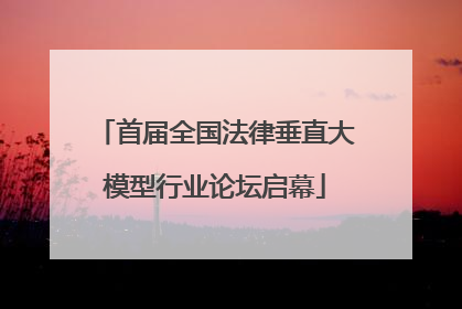 首届全国法律垂直大模型行业论坛启幕