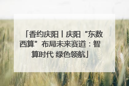 香约庆阳丨庆阳“东数西算”布局未来赛道：智算时代 绿色领航