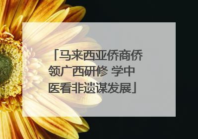 马来西亚侨商侨领广西研修 学中医看非遗谋发展