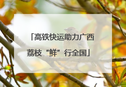 高铁快运助力广西荔枝“鲜”行全国