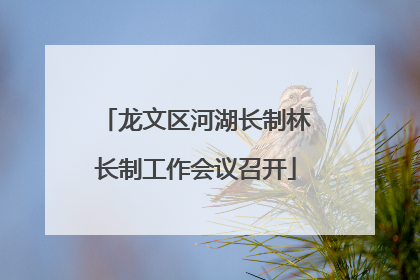 龙文区河湖长制林长制工作会议召开