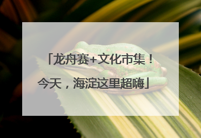 龙舟赛+文化市集！今天，海淀这里超嗨