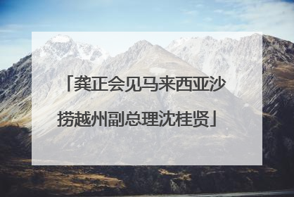 龚正会见马来西亚沙捞越州副总理沈桂贤