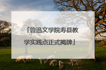 鲁迅文学院寿县教学实践点正式揭牌